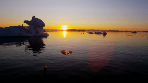 Disko Bay Glaciar Ártico del sitio UNESCO — Vídeo de stock