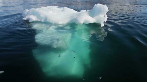 Fiordo di banchi di ghiaccio alla deriva della Groenlandia — Video Stock