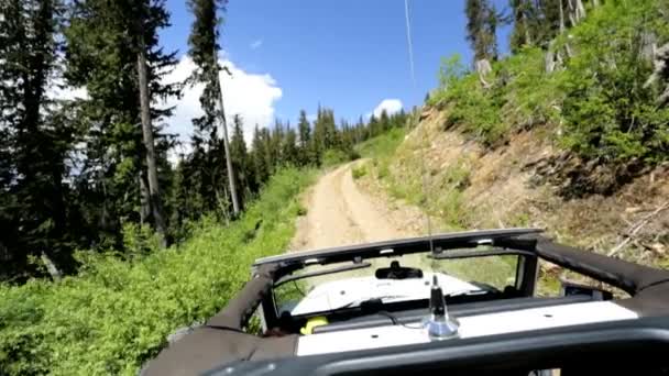 Jeep driving through mountain forest — Stock Video