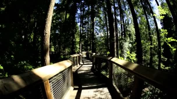 Caminando en la pasarela suspendida peatonal elevada — Vídeos de Stock