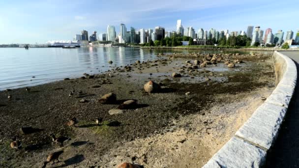 Canada Place Cruise ship terminal — Wideo stockowe