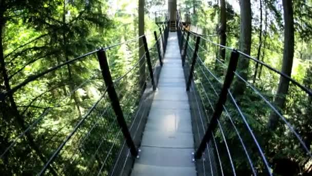 Walking on elevated pedestrian suspended walkway — Stock Video