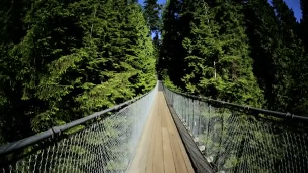 Marche sur passerelle suspendue piétonne surélevée — Video