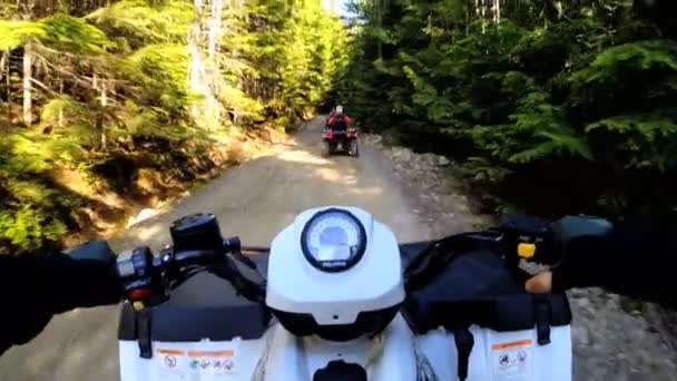 Rijden uit Quad racefiets in bos — Stockvideo