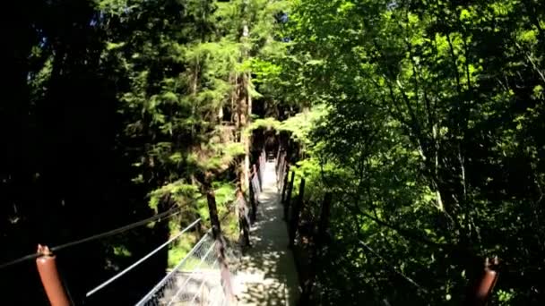 Caminando en la pasarela suspendida peatonal elevada — Vídeo de stock