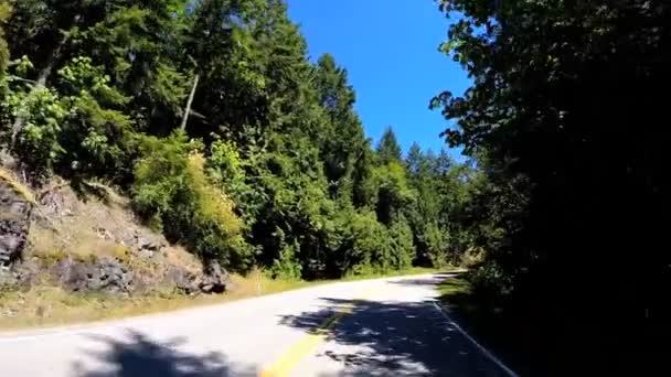 Дорожное путешествие через горный лес — стоковое видео