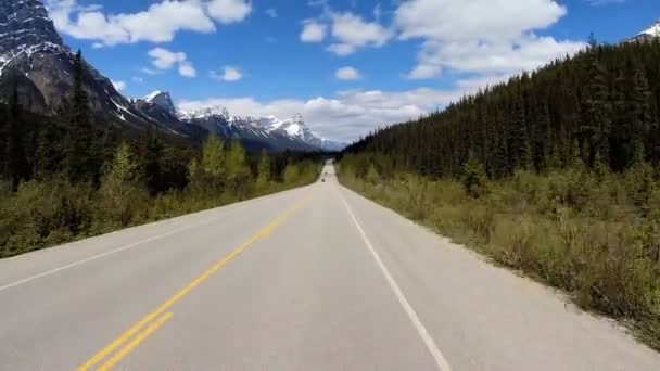 Road trip on highway 93 Canada Parkway — Stock Video