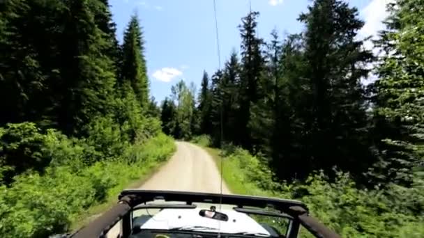 Jipe dirigindo através da floresta de montanha — Vídeo de Stock