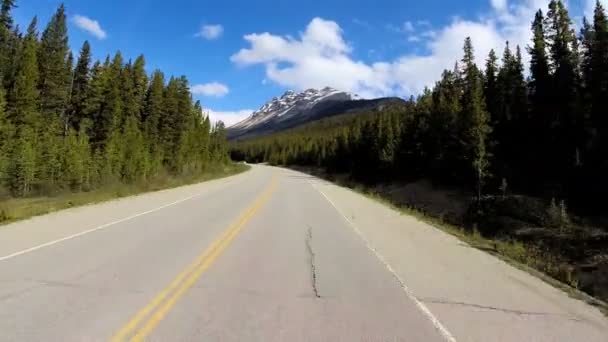 Viagem rodoviária na rodovia 93 Canada Parkway — Vídeo de Stock