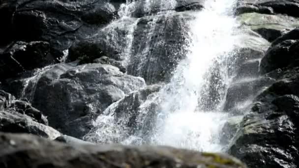 Caduta rocce di acqua di fiume Canada — Video Stock