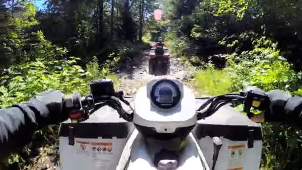 Rijden uit Quad racefiets in bos — Stockvideo