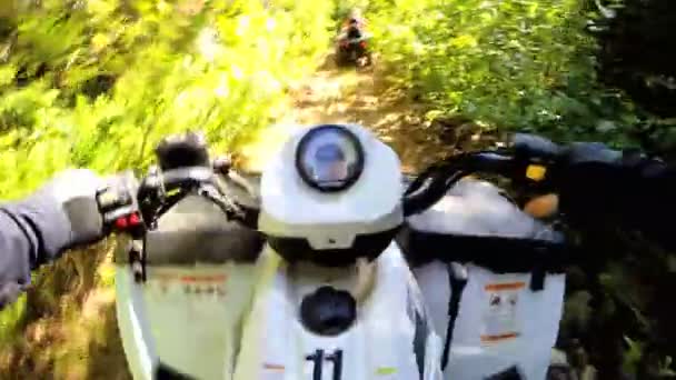 Съезд с дороги Quad велосипед в лесу — стоковое видео