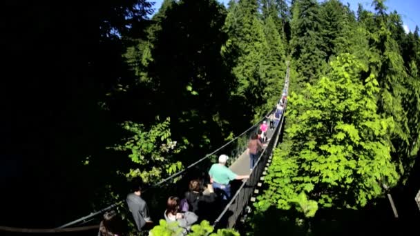 Förhöjda Capilano suspension footbridge — Stockvideo