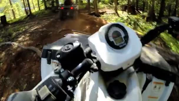 Водіння off road Quad велосипеді в лісі — стокове відео