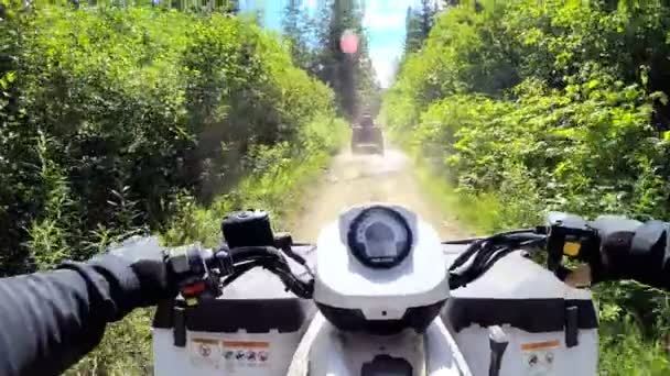 Conducir fuera de carretera Quad bicicleta en el bosque — Vídeo de stock