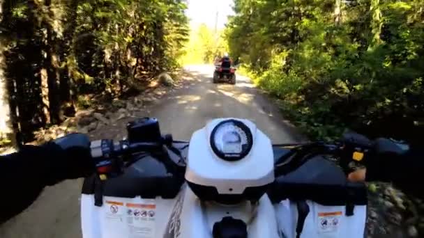 Conducir fuera de carretera Quad bicicleta en el bosque — Vídeo de stock