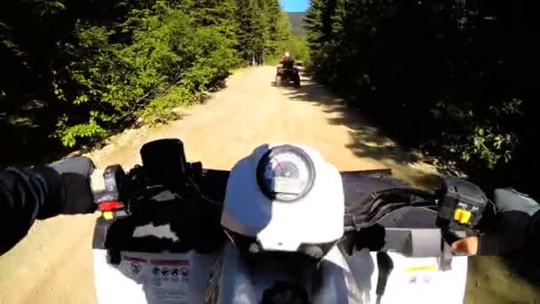 Οδήγηση off road ποδήλατο Quad στο δάσος — Αρχείο Βίντεο