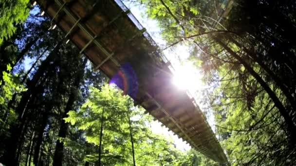 Förhöjda Capilano suspension footbridge gångväg — Stockvideo