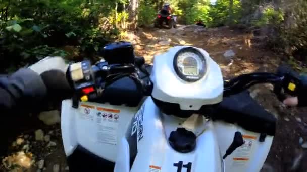 Водіння off road Quad велосипеді в лісі — стокове відео