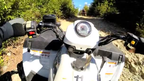 Conducir fuera de carretera Quad bicicleta en el bosque — Vídeo de stock