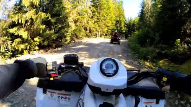 Водіння off road Quad велосипеді в лісі — стокове відео