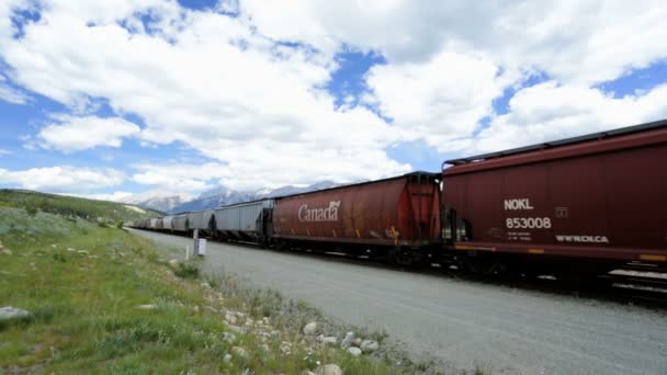 Ferrocarril Canadiense del Pacífico Tren de mercancías — Vídeos de Stock