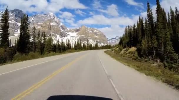 Road trip on highway 93 Canada Parkway — Stock Video