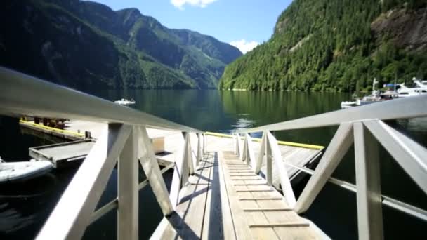 Parque Eco Regional de Capilano — Vídeo de Stock