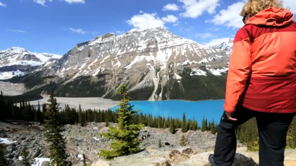 Female hiker in Icefield Parkway Canada — 비디오