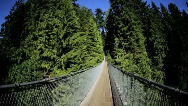 Marche sur passerelle suspendue piétonne surélevée — Video