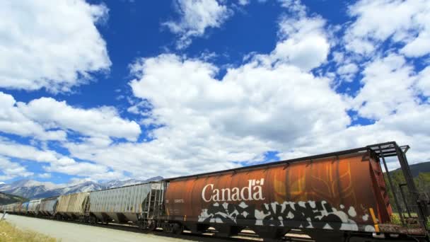 Ferrocarril Northwest Wilderness Jasper Alberta — Vídeo de stock