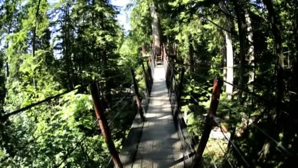 Wandelen op verhoogde voetgangers hangende loopbrug — Stockvideo