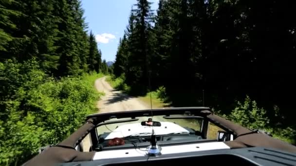 Jeep conducir a través de bosque de montaña — Vídeos de Stock