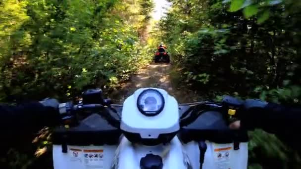 Conducir fuera de carretera Quad bicicleta en el bosque — Vídeo de stock