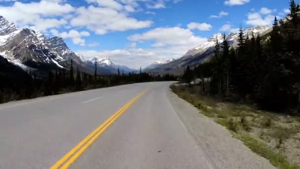 Road trip on highway 93 Canada Parkway — Stock Video