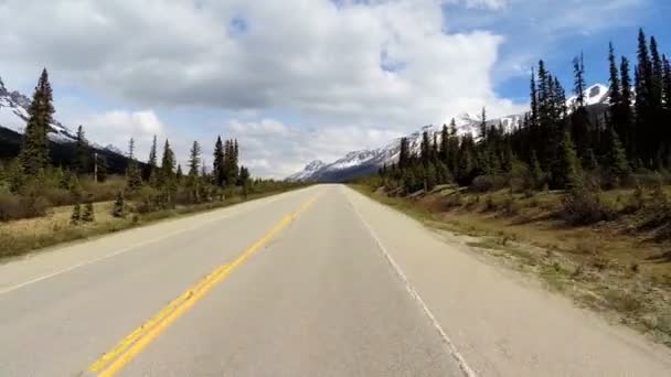 Road trip on highway 93 Canada Parkway — Stock Video