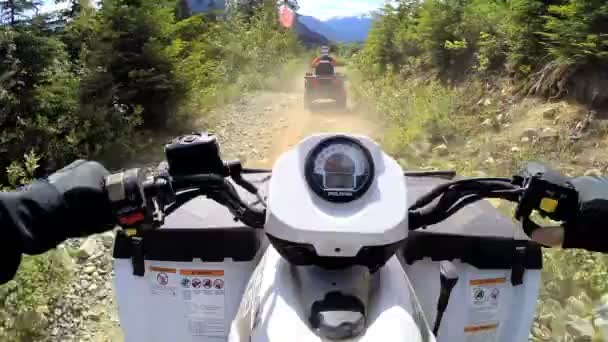 Conducir fuera de carretera Quad bicicleta en el bosque — Vídeo de stock