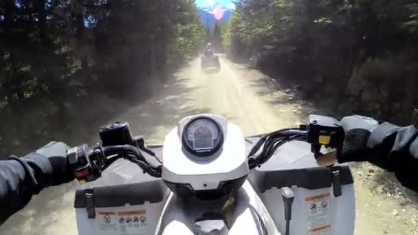 Condução fora de estrada Quad bike na floresta — Vídeo de Stock