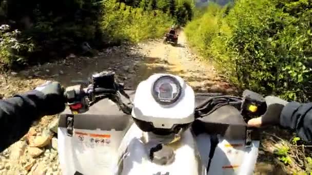 Mengemudi dari jalan sepeda Quad di hutan — Stok Video