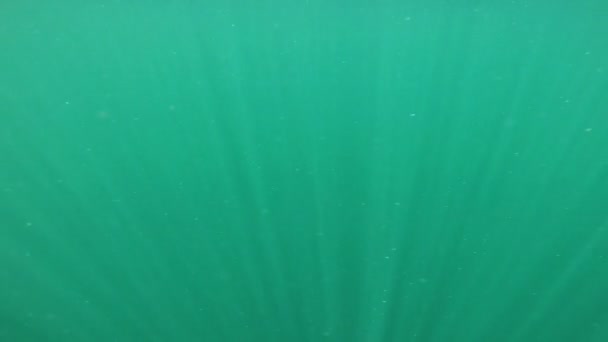 Oceaan onderwater textuur transparante Aqua — Stockvideo