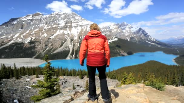 Senderista femenina en Icefield Parkway Canadá — Vídeo de stock