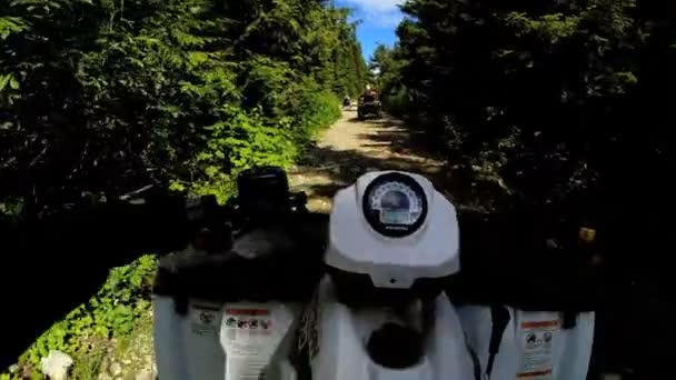 Driving off road Quad bike in forest — Stock Video