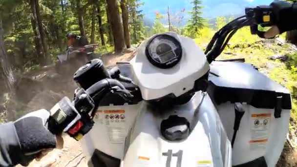 Guida fuoristrada Quad bike nella foresta — Video Stock