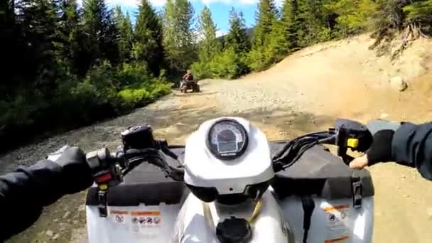 Condução fora de estrada Quad bike na floresta — Vídeo de Stock