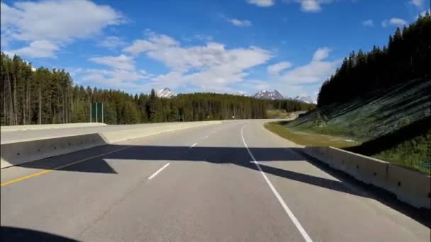 Viagem rodoviária na rodovia 93 Canada Parkway — Vídeo de Stock