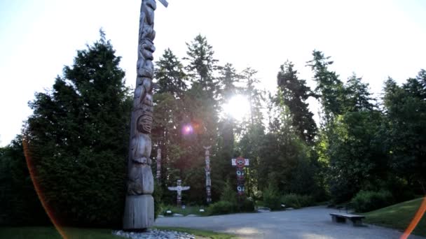 Indian Totem Pole Stanley Park — Stock Video