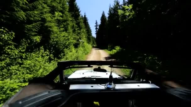 Jeep conducir a través de bosque de montaña — Vídeos de Stock