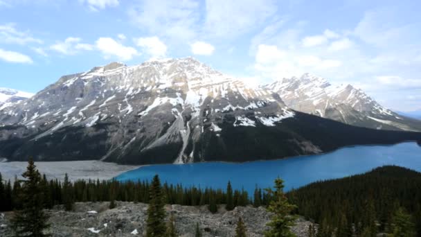 Sahne Icefields Parkway Kanada — Stok video