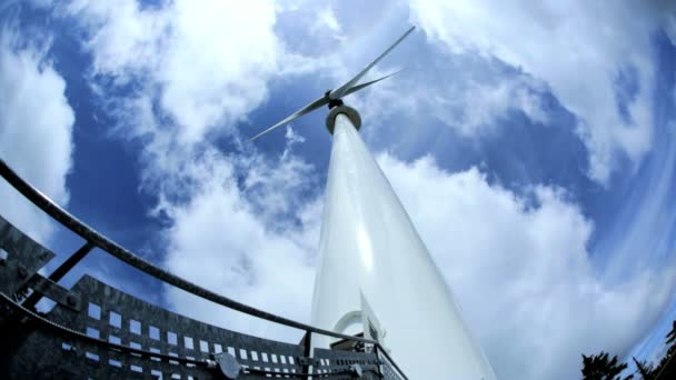 Les pales des éoliennes tournent au Canada — Video