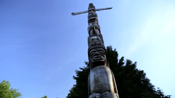 Indische Totem Pole Stanley Park — Stockvideo